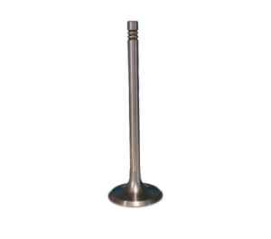 Deutz 1011 intake valve