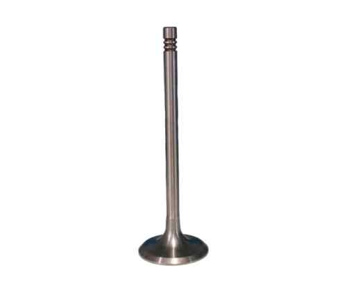 Deutz 1011 intake valve