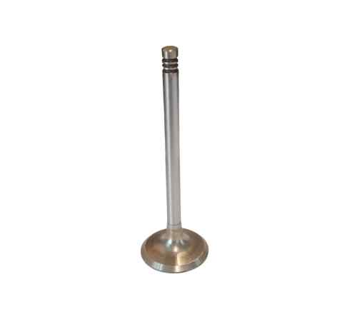 1011F intake valve, larger plug