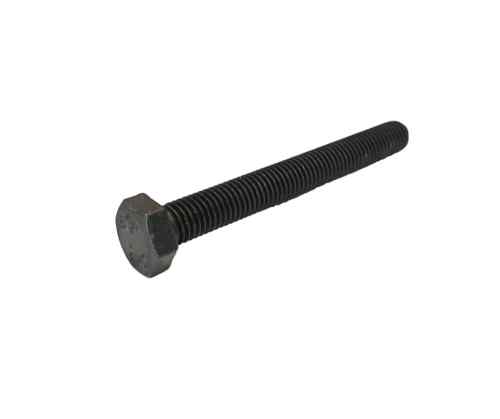 Hexagonal screw M12x100   foto 1