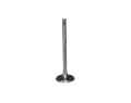 FL511 exhaust valve foto 1
