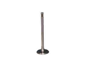 FL511 exhaust valve