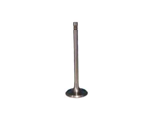 FL511 exhaust valve foto 1
