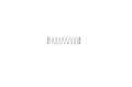 Brinkmann 260/43 compressor valve spring foto 1
