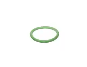 Brinkmann cover O-ring