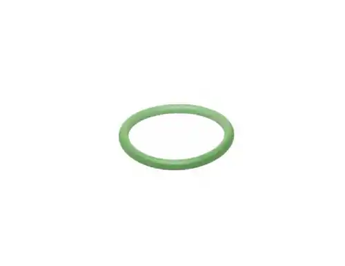 Brinkmann cover O-ring