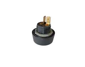 Replacement starter ignition button 
