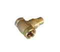 Check valve 1" BR  foto 1