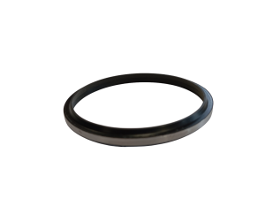 ATM pump wiper seal 
