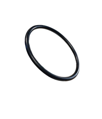 Oring 54x3.5 Putzmeister P-13