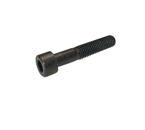 Motor foot mounting screw M10x55
