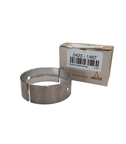 Panewka główna F4L913