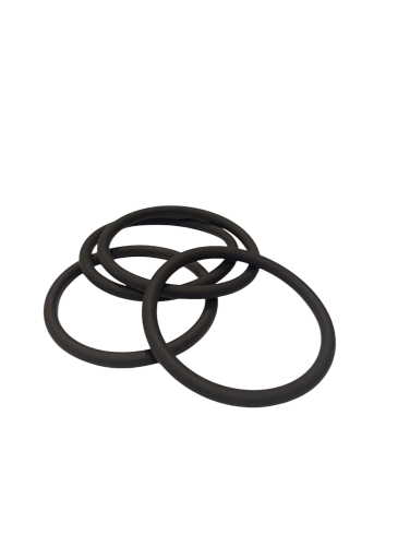 BF4M1012E pump seal ring