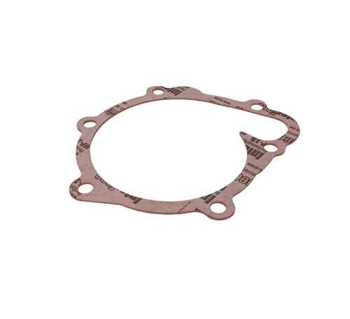 Flat gasket for the BF4M1012E water pump