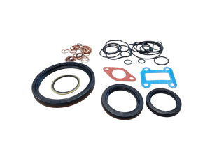 Gasket set F3L 1011F bottom
