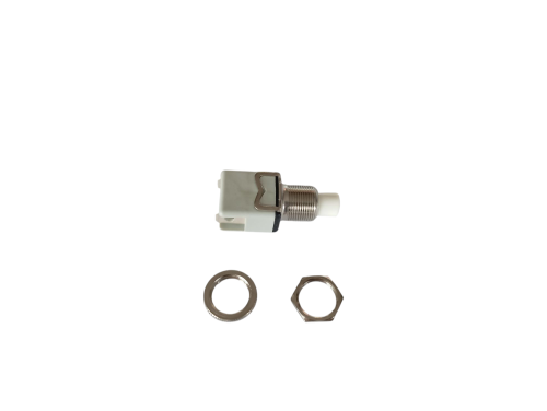 Switch to turn on the water pump