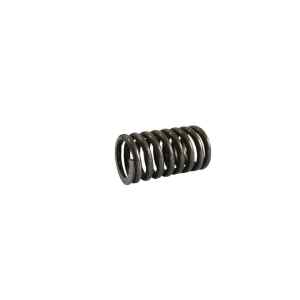 ATM sieve spring