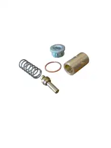 Termostat  BR STAGE V