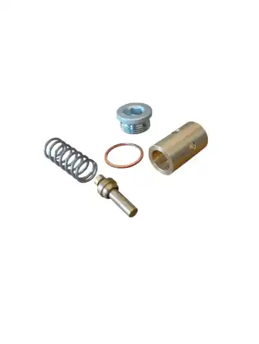 Termostat BR STAGE V  zdj.1