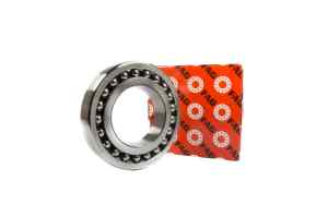 1213K FAG bearing