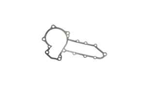 Water pump gasket V2203
